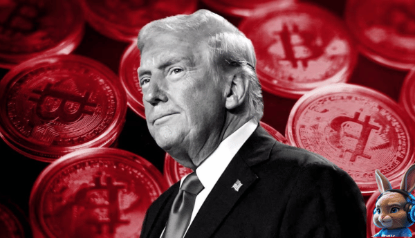 ảnh content web (1)