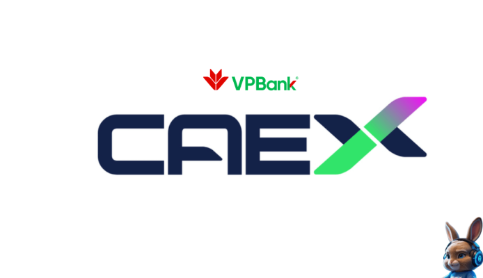 ảnh 1000x576 content web thỏ