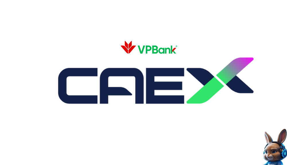 ảnh 1000x576 content web thỏ