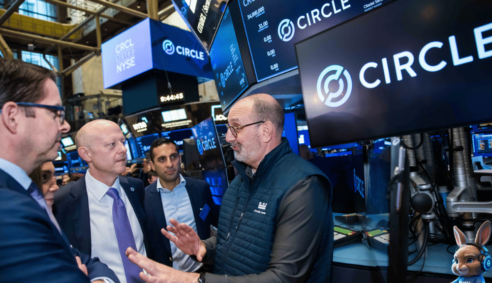 ảnh 1000x576 content web thỏ (2)