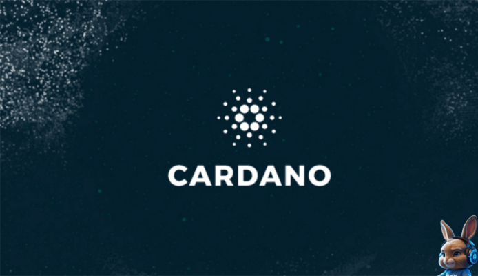 tổng quan về đồng tiền số cardano (ada)